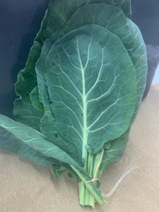 Collard Green - bunch